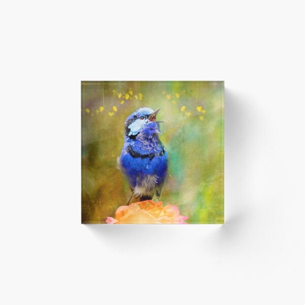 Item preview, Splendid Fairywren Whimsy designed and sold by cschester4.