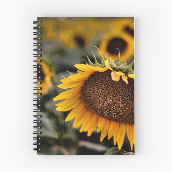 Item preview, Sunflower designed and sold by Kutay Photography.