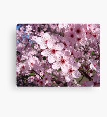 Spring Pink Tree Blossoms Colorful Floral art Baslee Troutman Canvas Print
