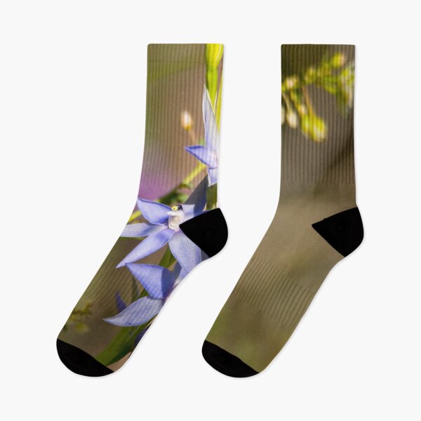 Item preview, Blue Sun Orchid designed and sold by cschester4.
