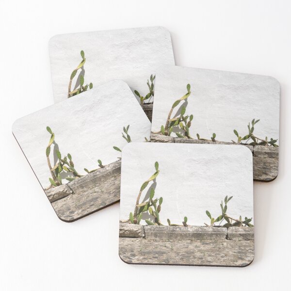 Item preview, Xerophytic Landscaping - Old Cactus Garden designed and sold by Georgia Mizuleva.