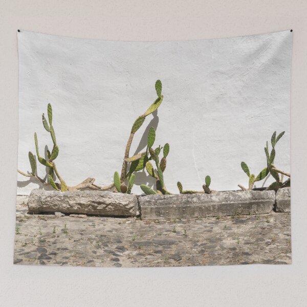 Item preview, Xerophytic Landscaping - Old Cactus Garden designed and sold by Georgia Mizuleva.