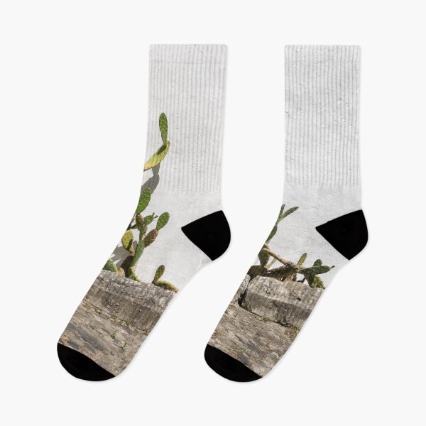 Item preview, Xerophytic Landscaping - Old Cactus Garden designed and sold by Georgia Mizuleva.
