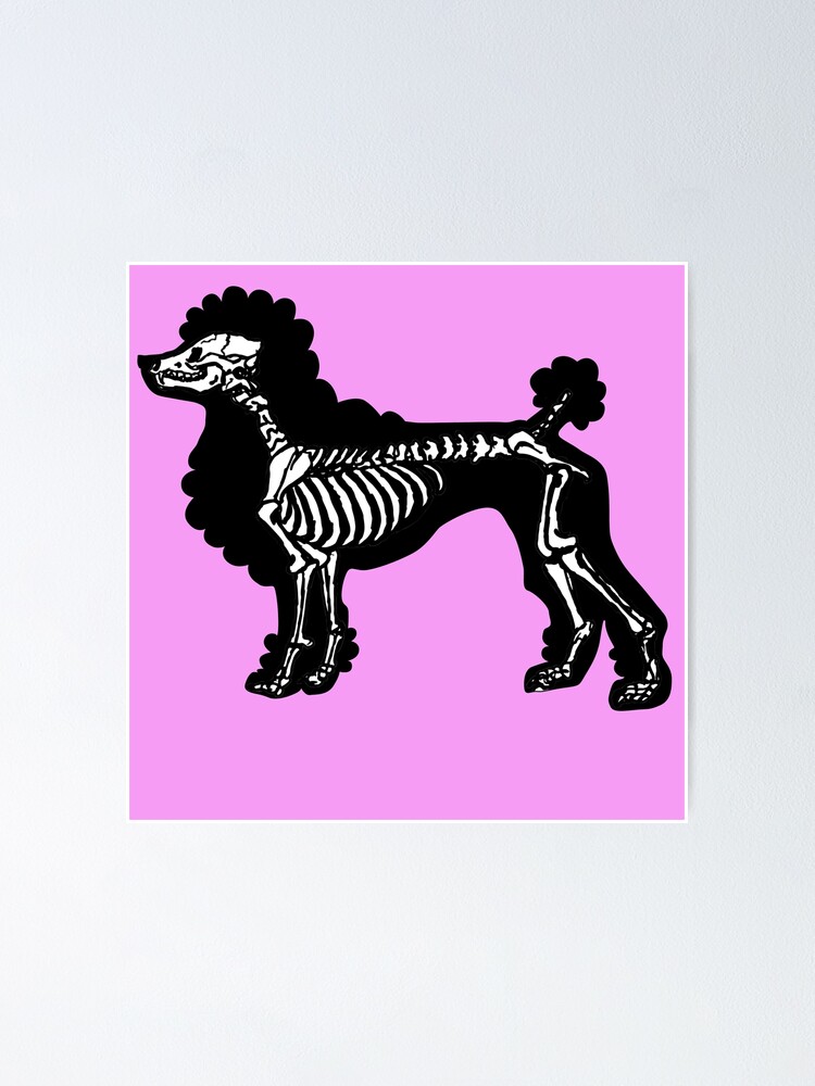 Skeleton Poodle Dog 1 Graphic by Quoteer · Creative Fabrica
