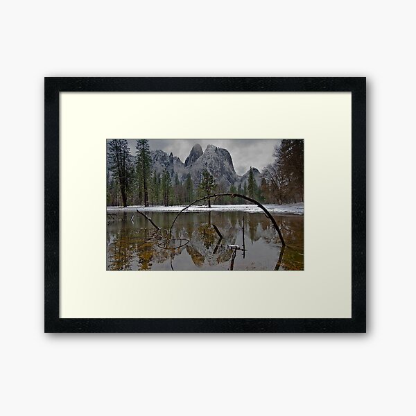 Reflecting Pond Framed Art Print