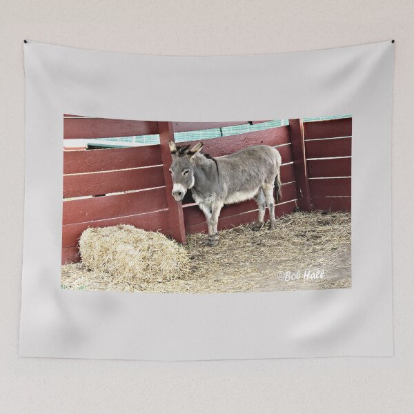 Item preview, "... I-R-R-I-T-A-T-I-N-G Paparazzi!," Prints, for prints and products designed and sold by Bob Hall©.