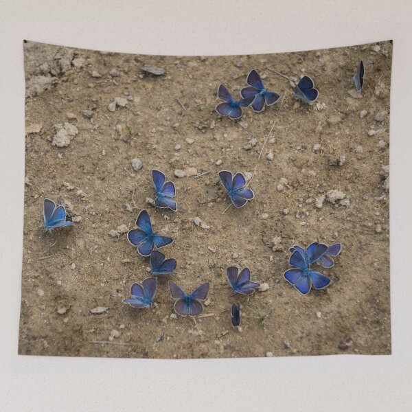 Item preview, Enchanting Butterflies - Soft Blue Sapphires on the Ground designed and sold by Georgia Mizuleva.