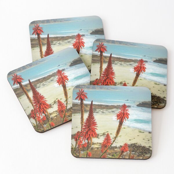 Item preview, Laguna Beach California Aloe Vera designed and sold by K D Graves Photography.