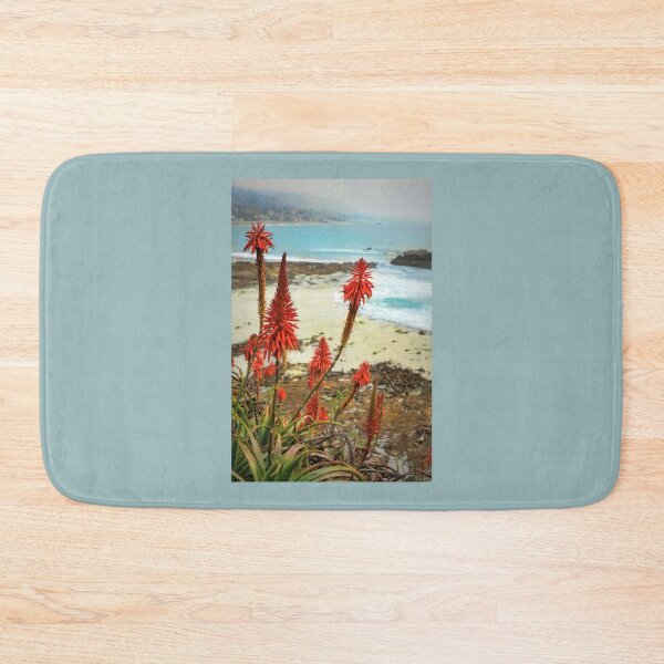 Item preview, Laguna Beach California Aloe Vera designed and sold by K D Graves Photography.
