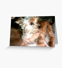 My Baby Boy, Snickers Greeting Card