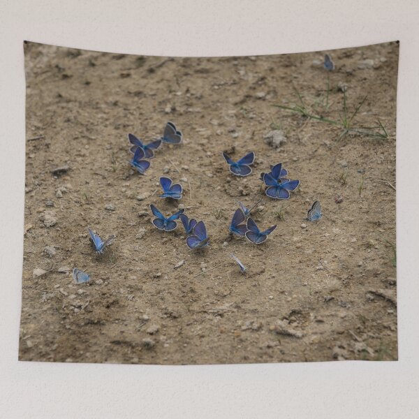 Item preview, Enchanting Butterflies - Exquisite Sapphire Clusters on the Ground designed and sold by Georgia Mizuleva.