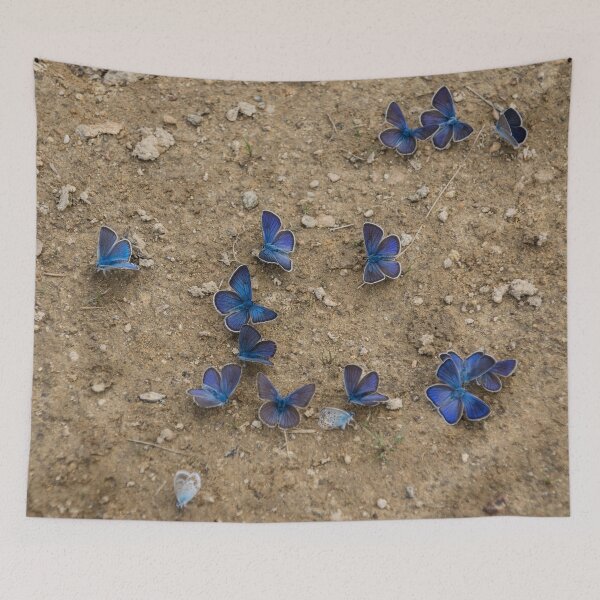 Item preview, Enchanting Butterflies - Dainty Sapphires Scattered on Rough Ground designed and sold by Georgia Mizuleva.