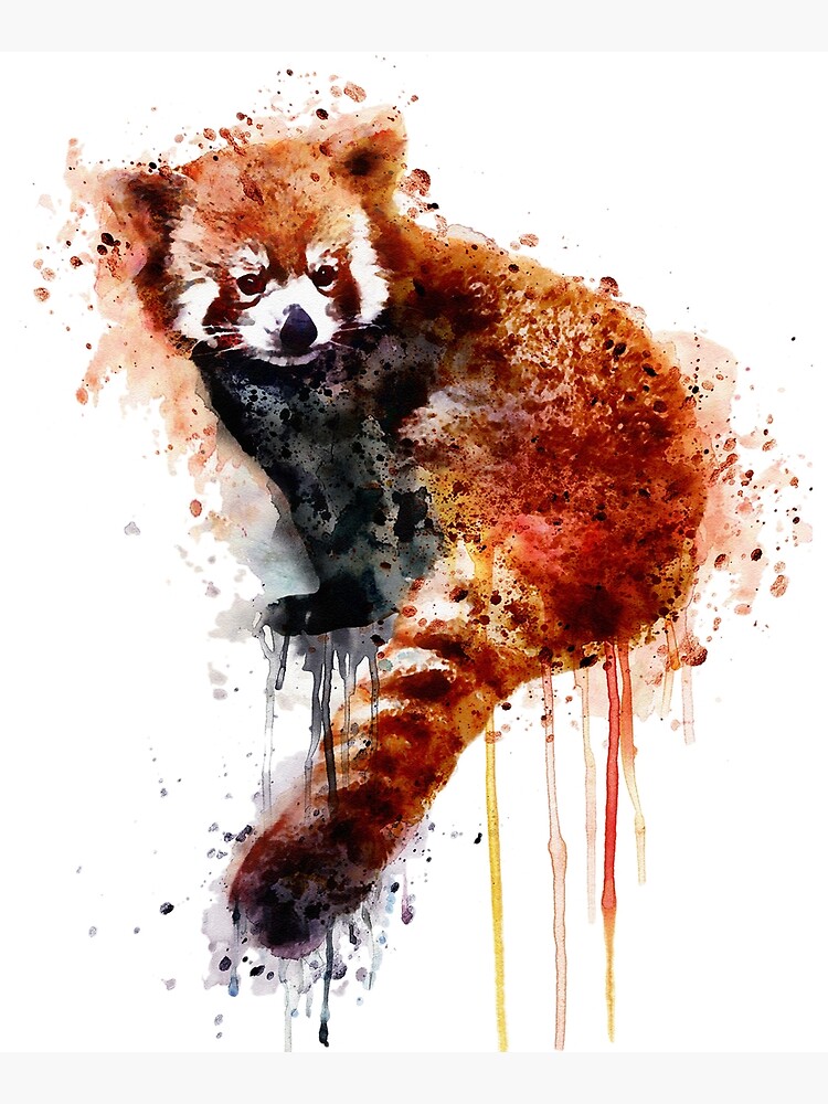 Red Panda by caracatita75