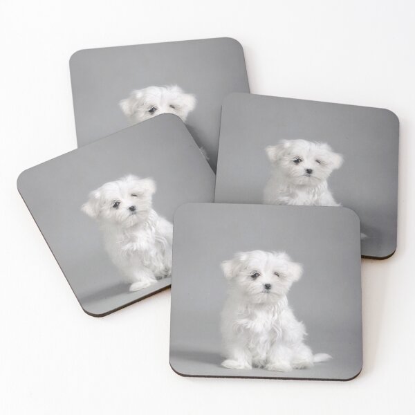 Item preview, Maltese puppy designed and sold by PetsArt.