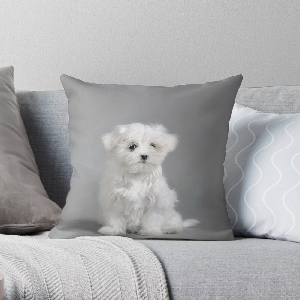 maltese pillow