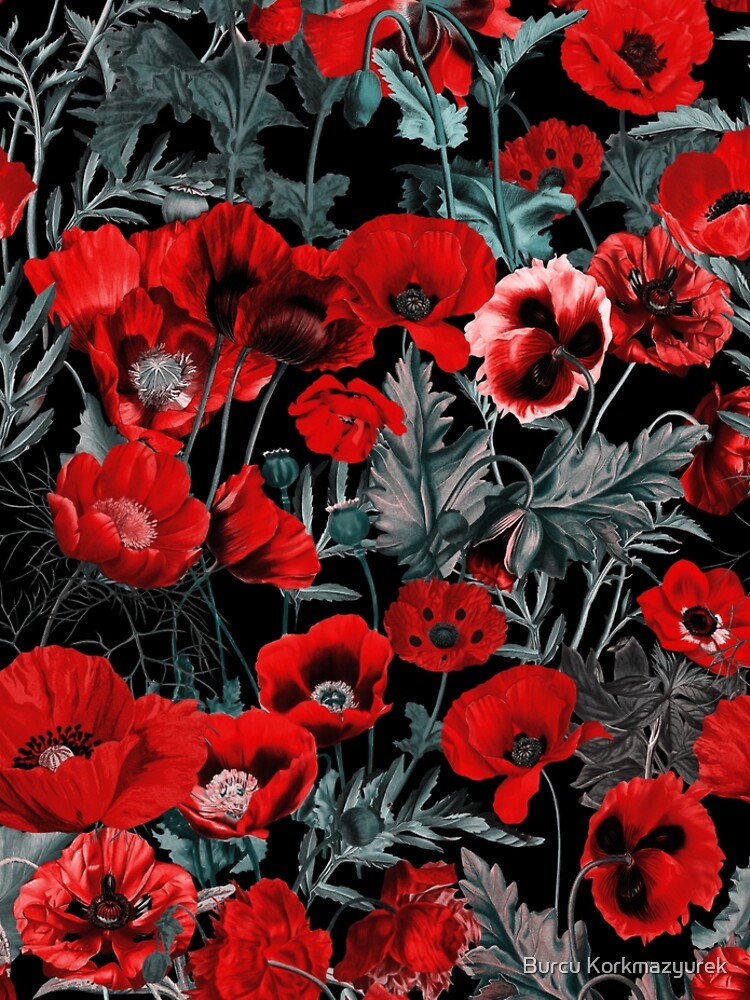 Poppy Garden by burcukyurek