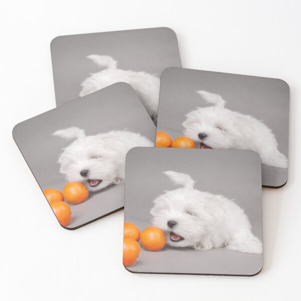 Item preview, Maltese puppy designed and sold by PetsArt.