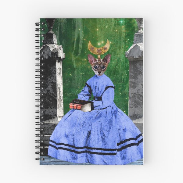 Item preview, The High Priestess Tarot Card designed and sold by Loveday Funck.