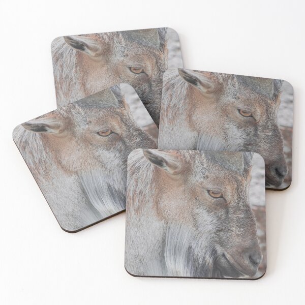 Item preview,  male Markhor, (Capra falconeri) designed and sold by Martin Leber.