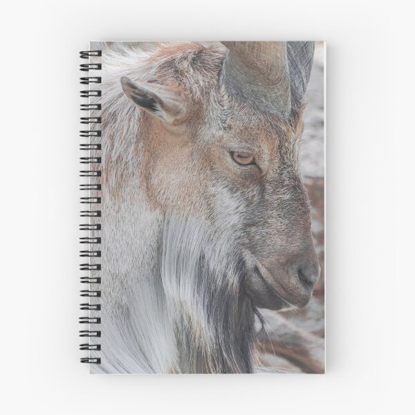 Item preview,  male Markhor, (Capra falconeri) designed and sold by Martin Leber.