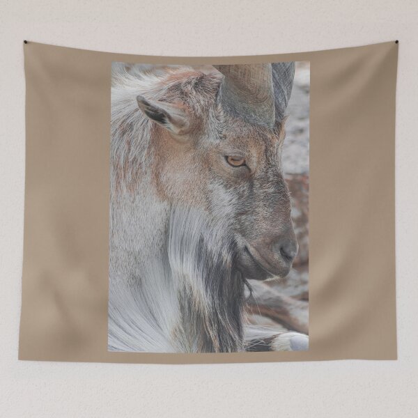 Item preview,  male Markhor, (Capra falconeri) designed and sold by Martin Leber.