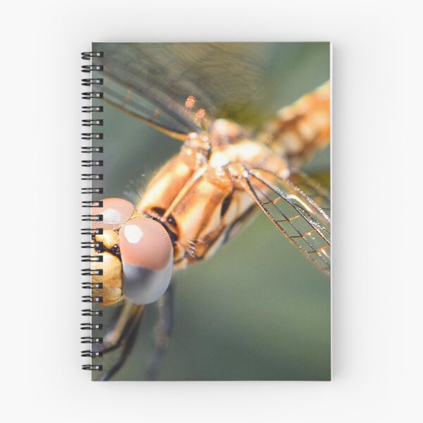 Item preview, Dragonfly (MKW-I.7) designed and sold by Katrina Morgan.