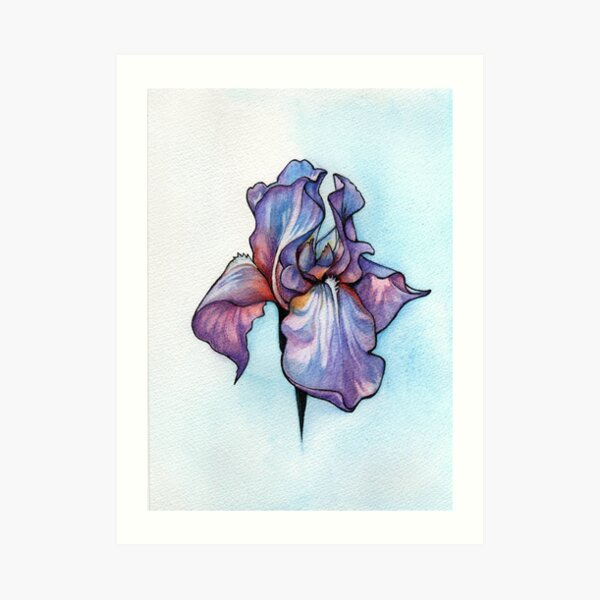 Iris Art Print