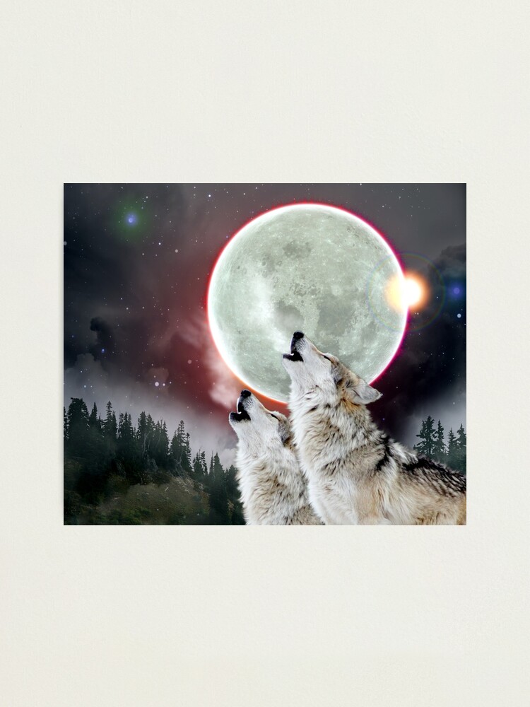 Wolves Howling At The Moon - 14 Wolf Howling At Moon Ideas Wolf Howling