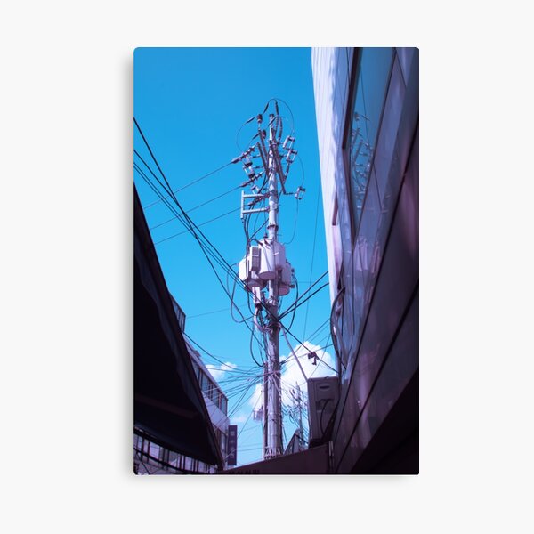 Telephone Polls Canvas Print