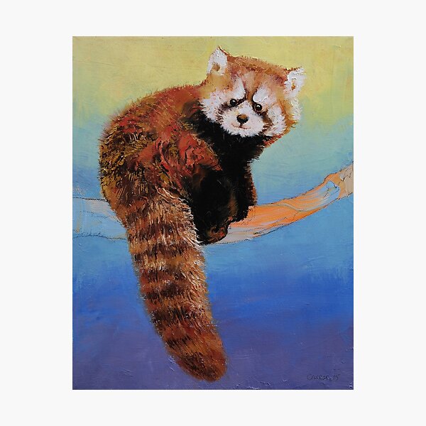 Panda rouge mignon Impression photo