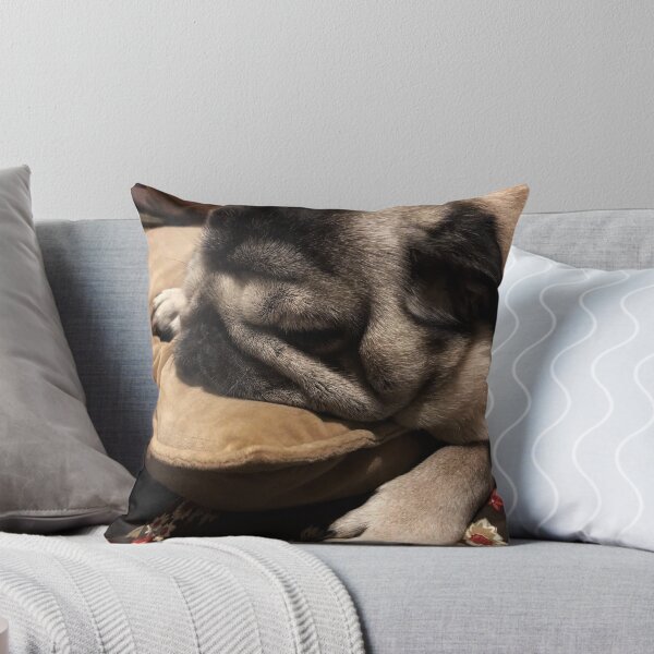 Item preview, Sleeping pug designed and sold by SivKnutsen.