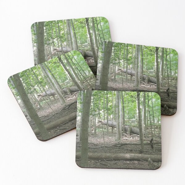 Item preview, Fallen Trees designed and sold by melzie3.