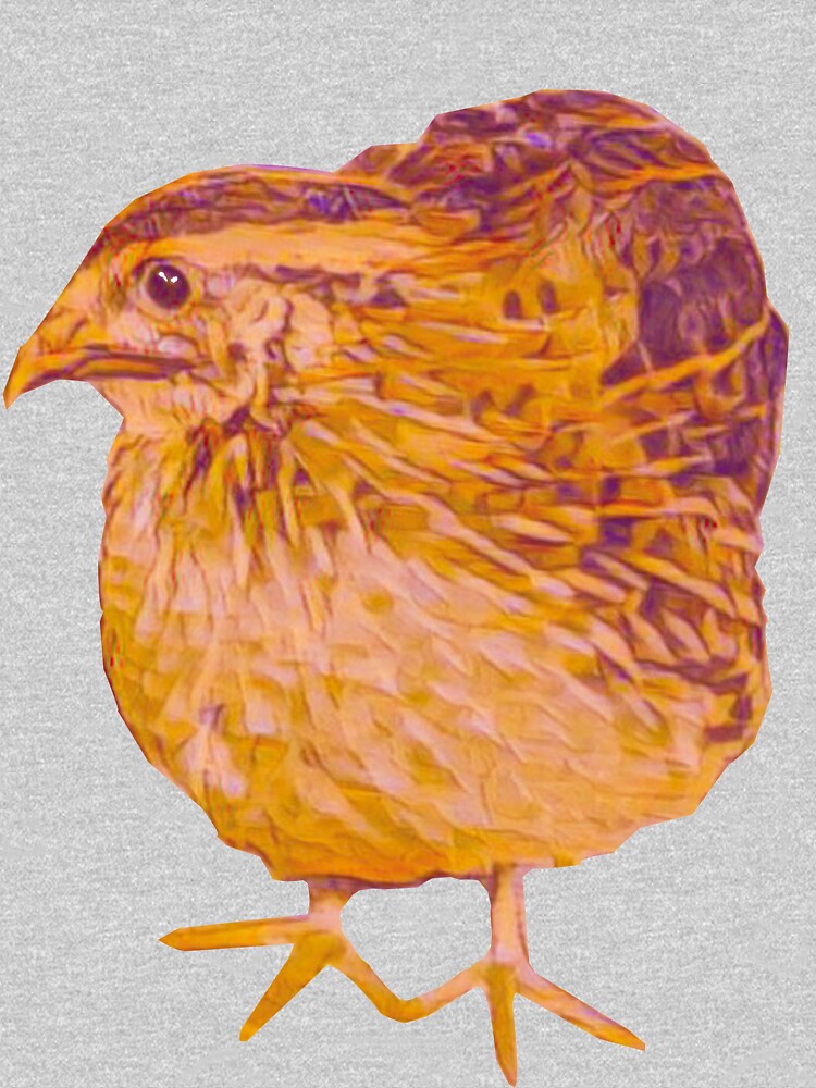 Coturnix Quail T Shirt By Redfeatherquail Redbubble