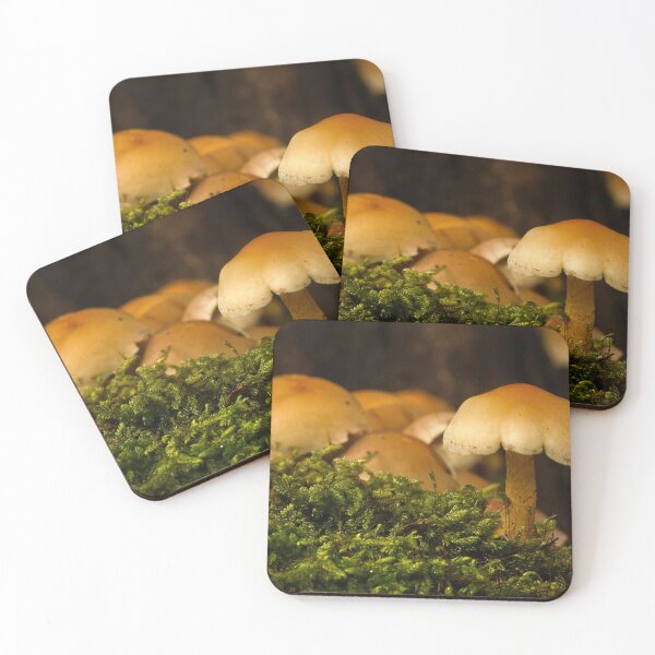 Item preview, Fungi In The Woodland designed and sold by Dave Godden.