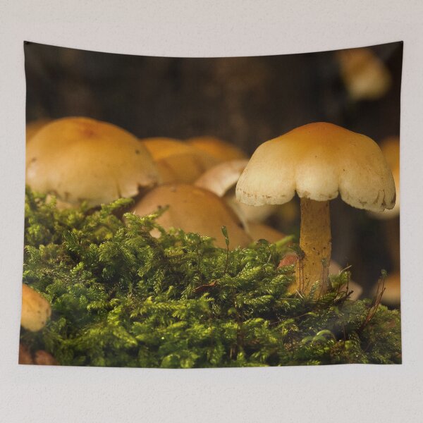 Item preview, Fungi In The Woodland designed and sold by Dave Godden.
