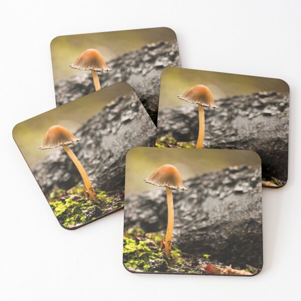 Item preview, Fungi In The Woodland designed and sold by Dave Godden.