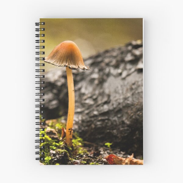 Item preview, Fungi In The Woodland designed and sold by Dave Godden.