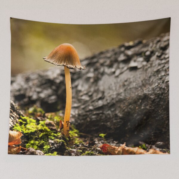 Item preview, Fungi In The Woodland designed and sold by Dave Godden.