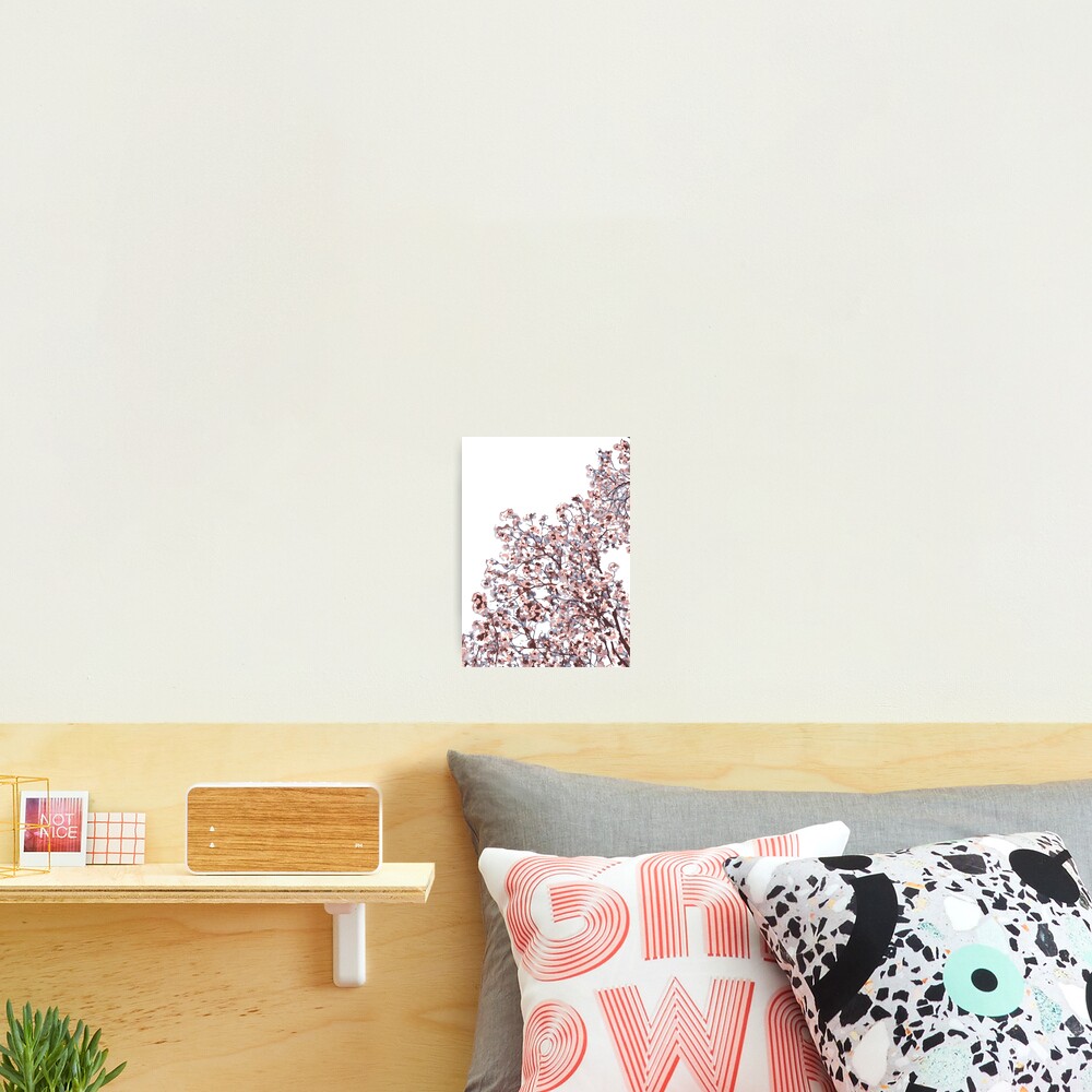 Item preview, Photographic Print designed and sold by llolverd14.