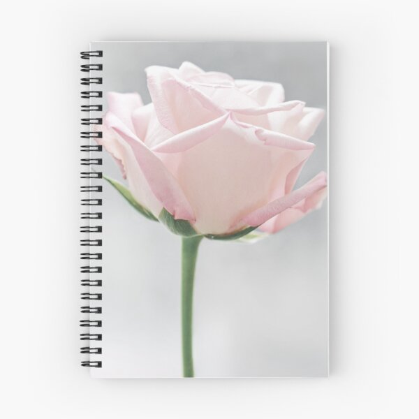 Item preview, Beautiful Blush Pink Rose  designed and sold by newburyboutique.