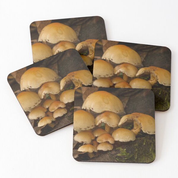 Item preview, Fungi In The Woodland designed and sold by Dave Godden.