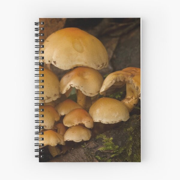 Item preview, Fungi In The Woodland designed and sold by Dave Godden.