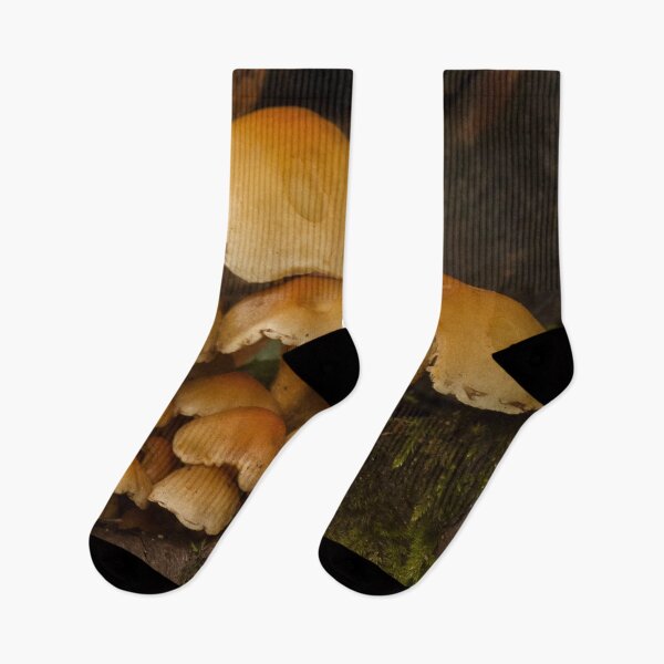 Item preview, Fungi In The Woodland designed and sold by Dave Godden.