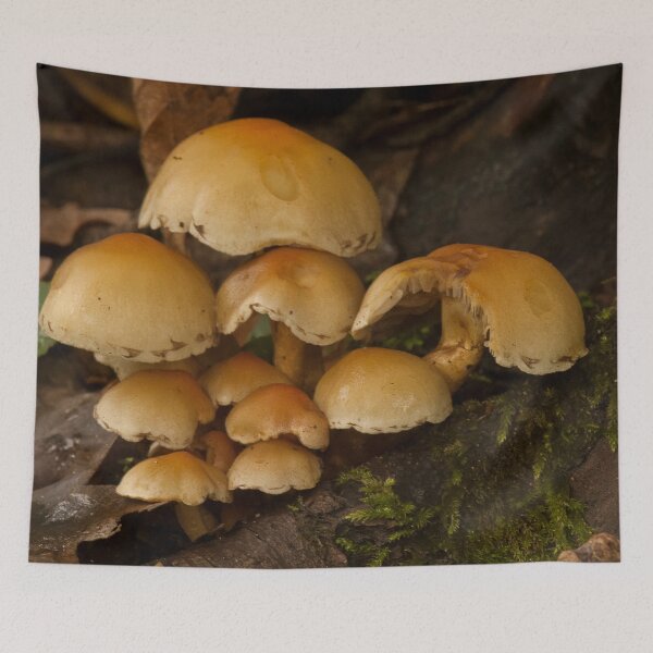 Item preview, Fungi In The Woodland designed and sold by Dave Godden.