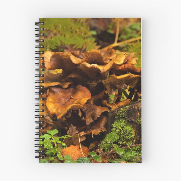 Item preview, Fungi In The Woodland designed and sold by Dave Godden.