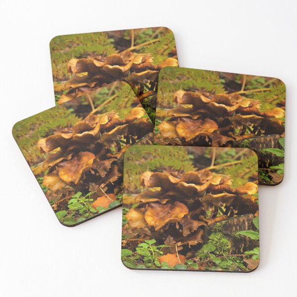Item preview, Fungi In The Woodland designed and sold by Dave Godden.