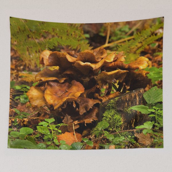 Item preview, Fungi In The Woodland designed and sold by Dave Godden.