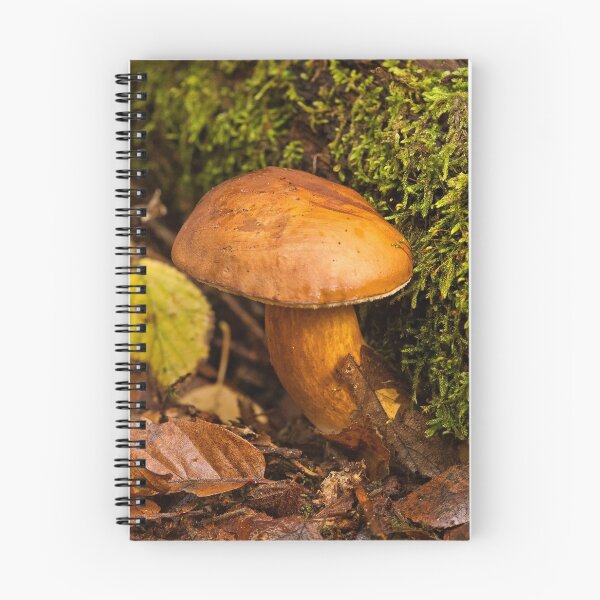 Item preview, Fungi In The Woodland designed and sold by Dave Godden.