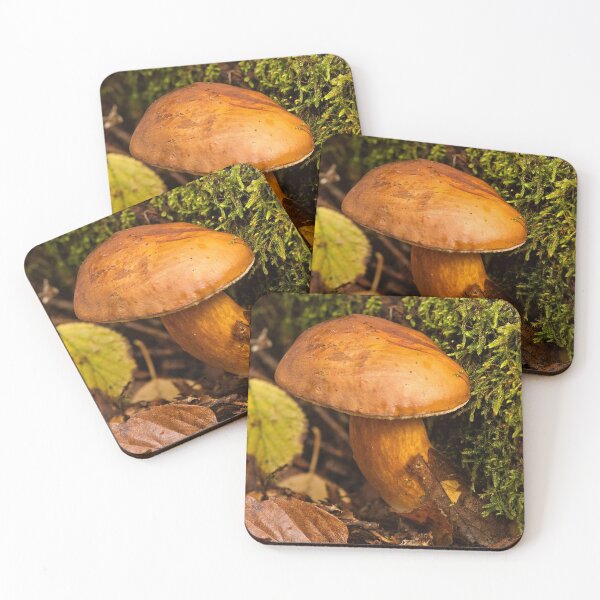 Item preview, Fungi In The Woodland designed and sold by Dave Godden.