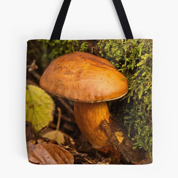 Item preview, Fungi In The Woodland designed and sold by Dave Godden.
